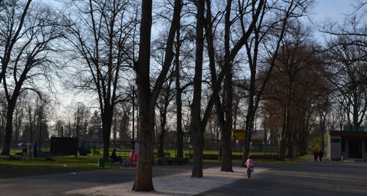 DSC_1557.JPG